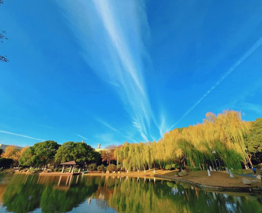 澳门联合直营 - 澳门联合直营6766在线官网